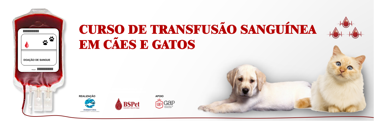 Transfusão sanguínea em cães e gatos